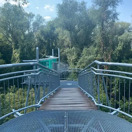 Amicii Makó